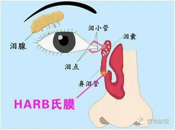 微信图片_20210309134346_缩小大小.jpg 微信图片_20210309134346_缩小大小.jpg