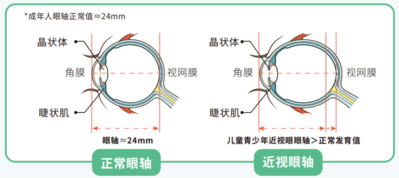 clip_image005.png