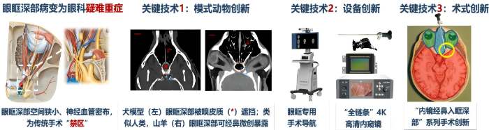 微信图片_2026-02-11_151428_413.png